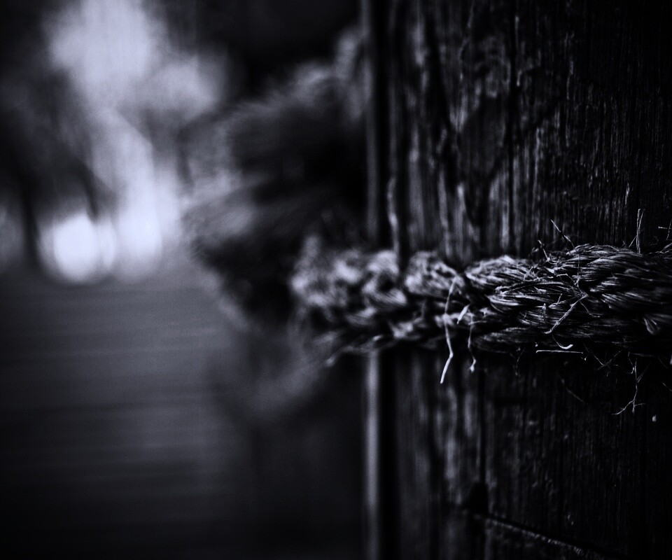 Веревка на деревянном столбе обои