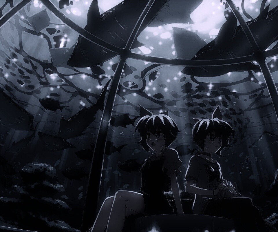 В океанариуме обои