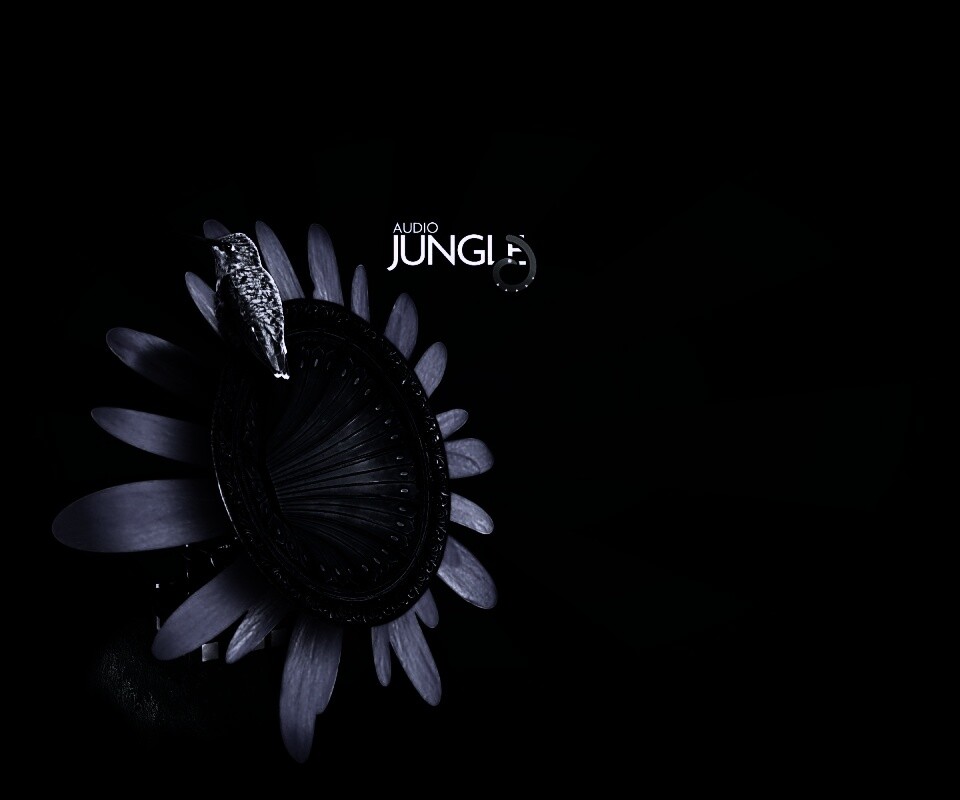 Звуки джунглей обои
