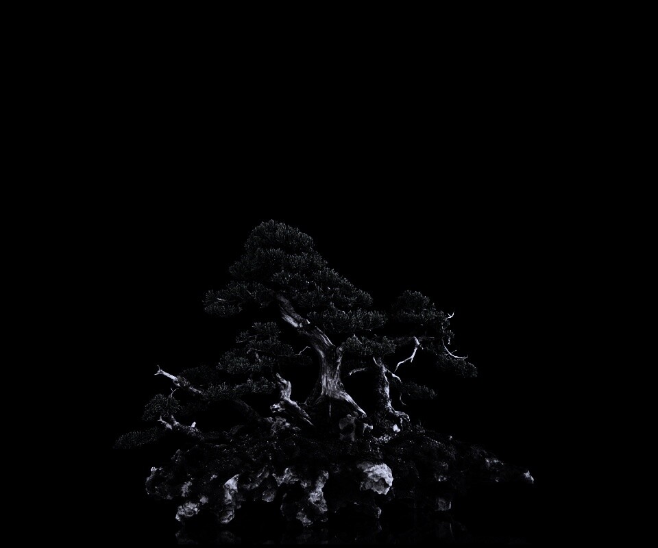 Миниатюрное дерево обои