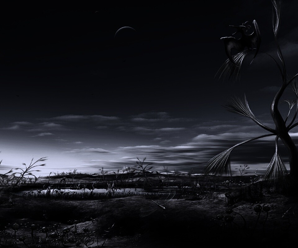 Флора и фауна другой планеты обои