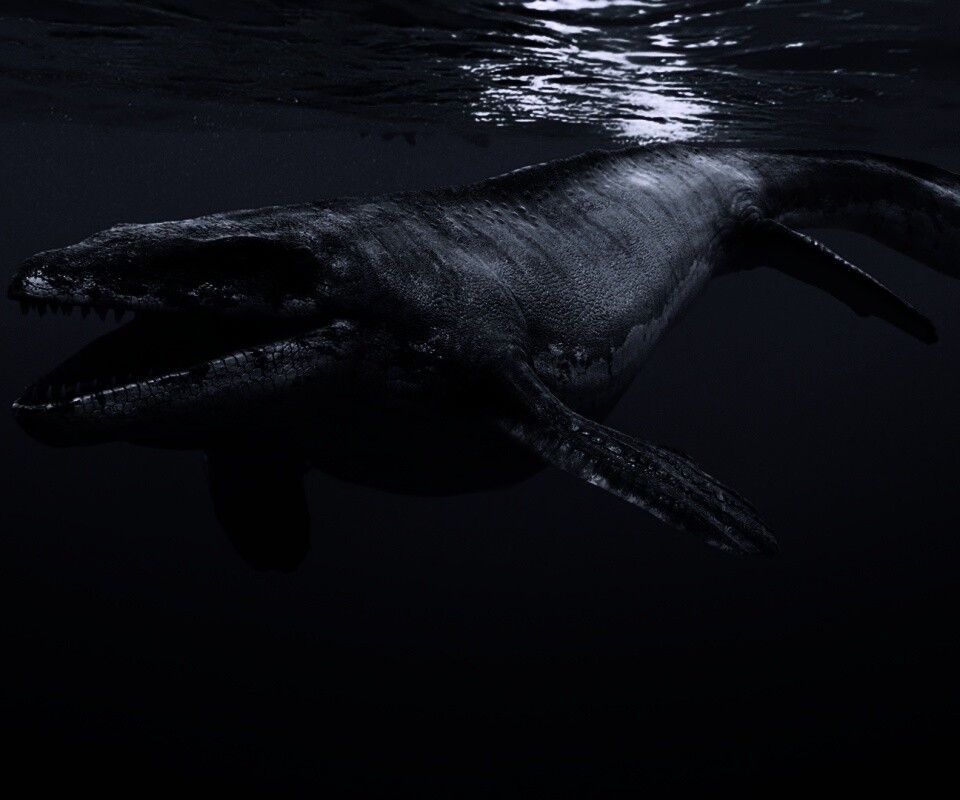 Морской динозавр обои