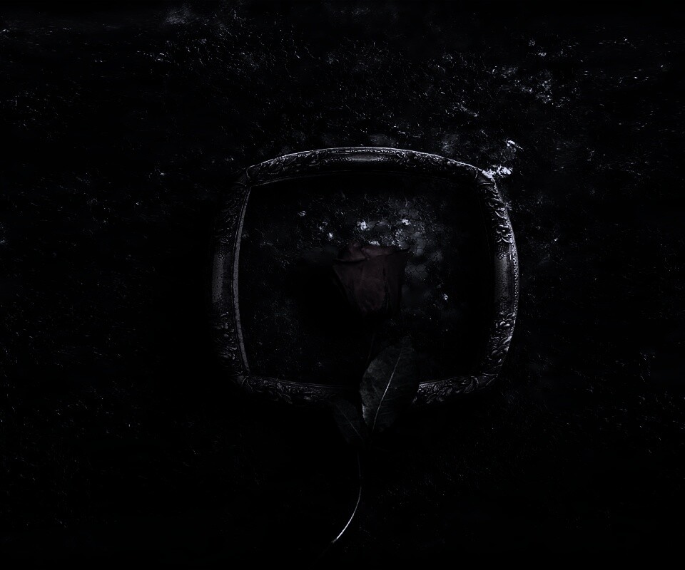 Роза на картинной раме обои