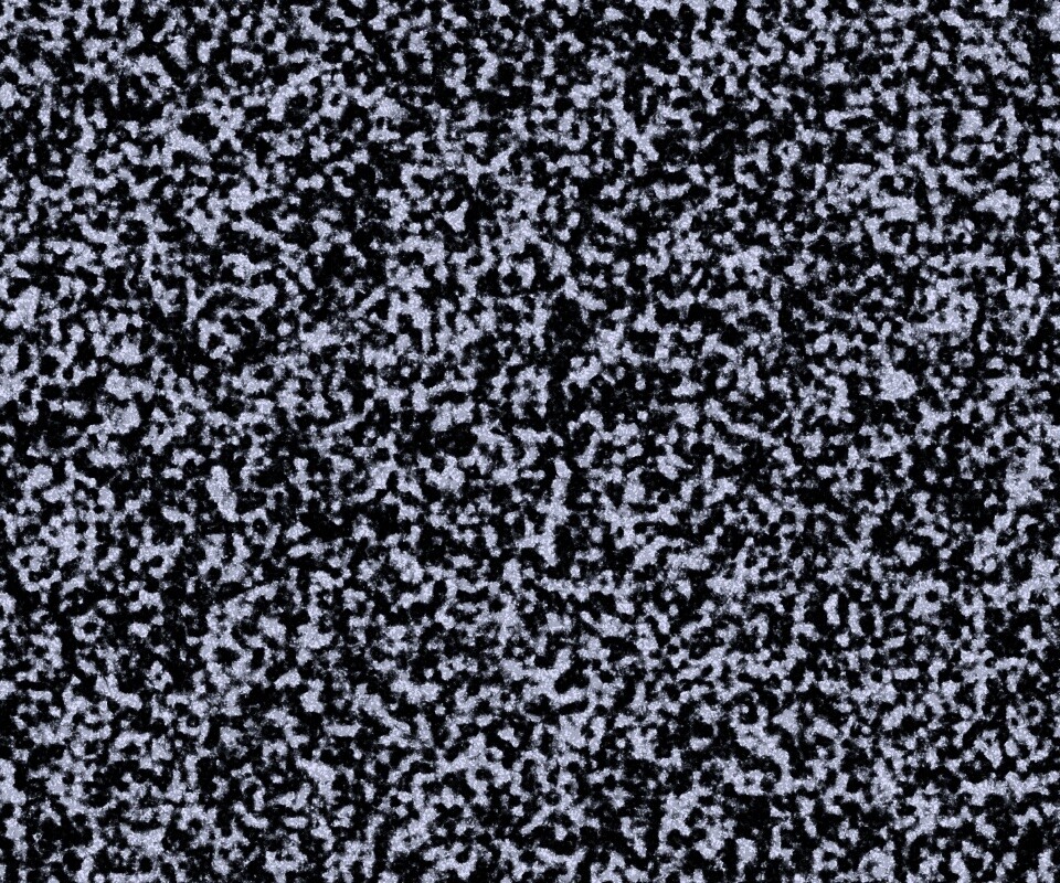 Черно-белый ковролин обои