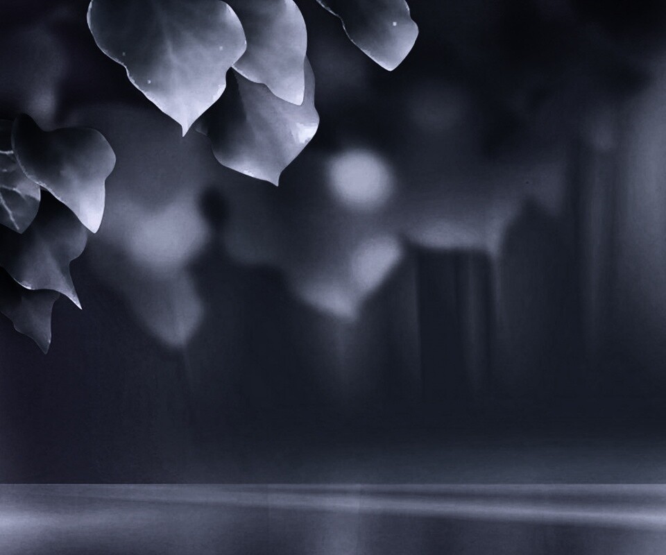 Синие листья обои