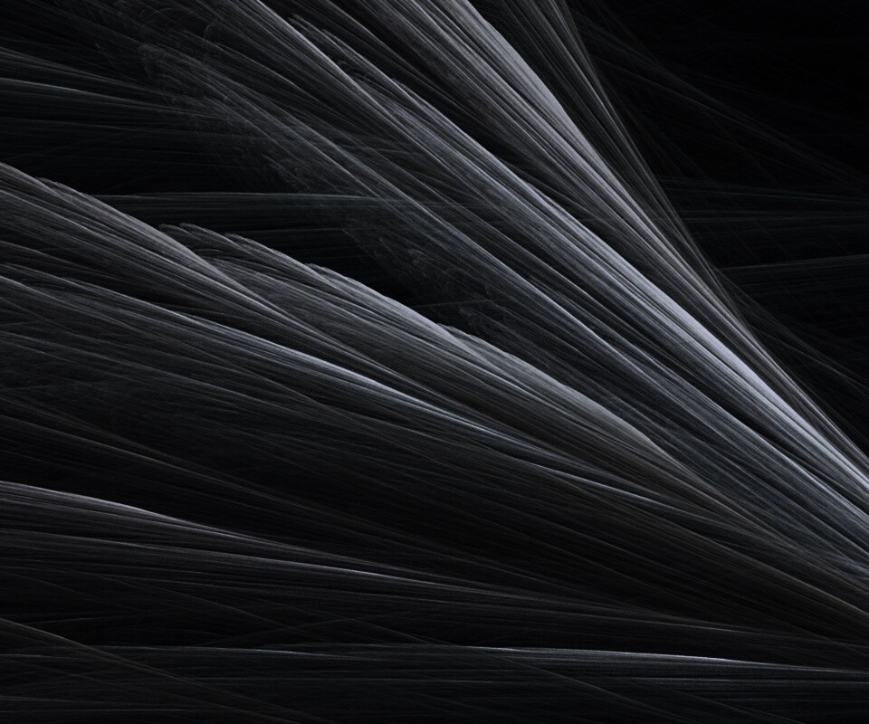 Прозрачные зеленоватые крылья обои