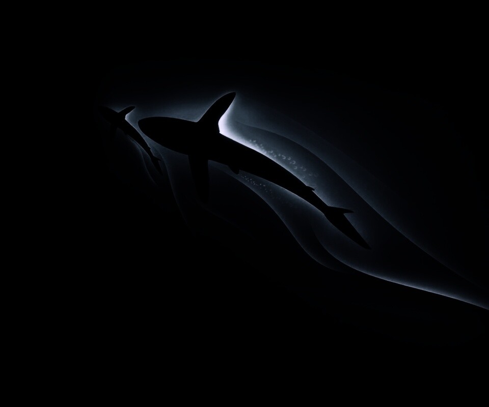 Рыбы в глубине обои