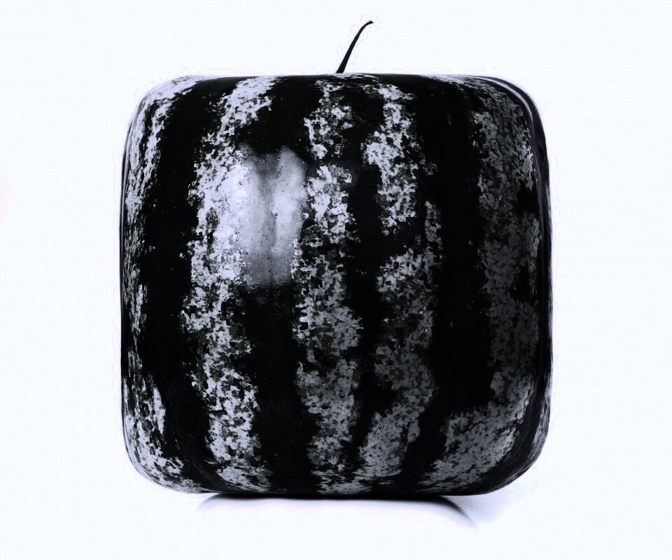 Квадратный арбуз обои