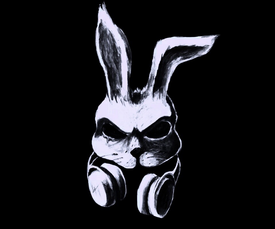 Кролик в наушниках обои