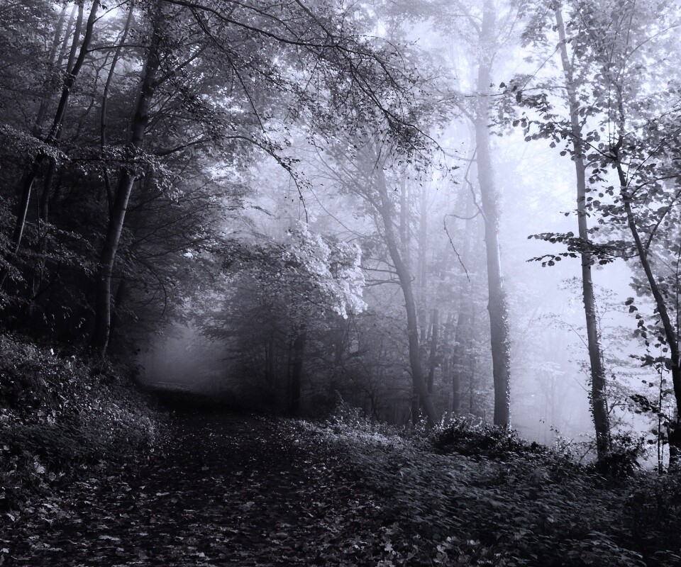 Осенний мистический пейзаж обои