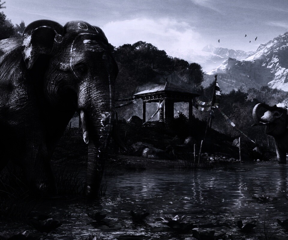 Слоники у воды обои