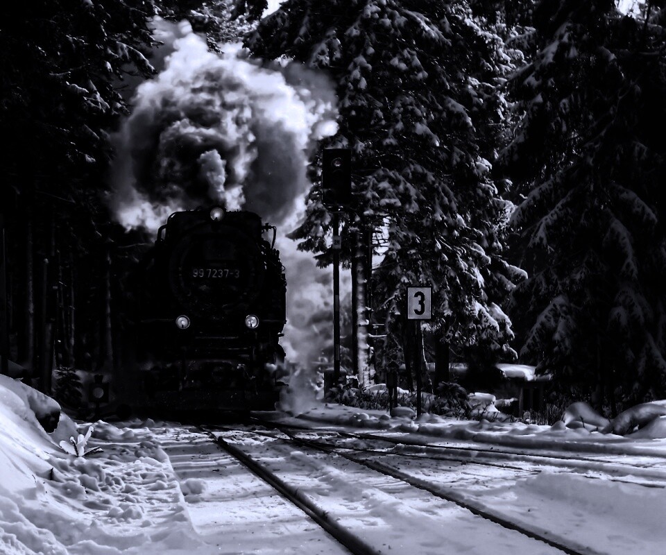 Паровоз в димнем лесу обои