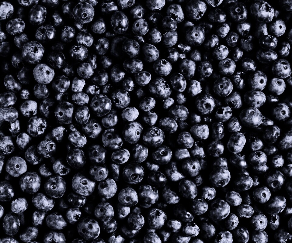 Черника обои