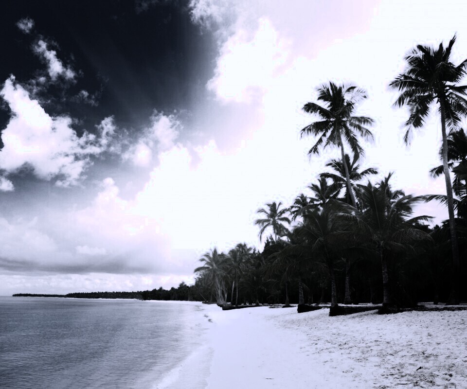 Тропическое побережье обои