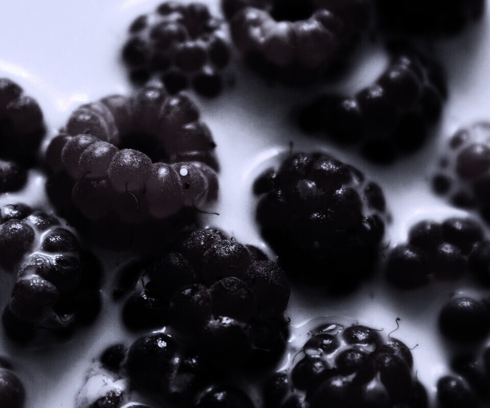 Малина в молоке обои