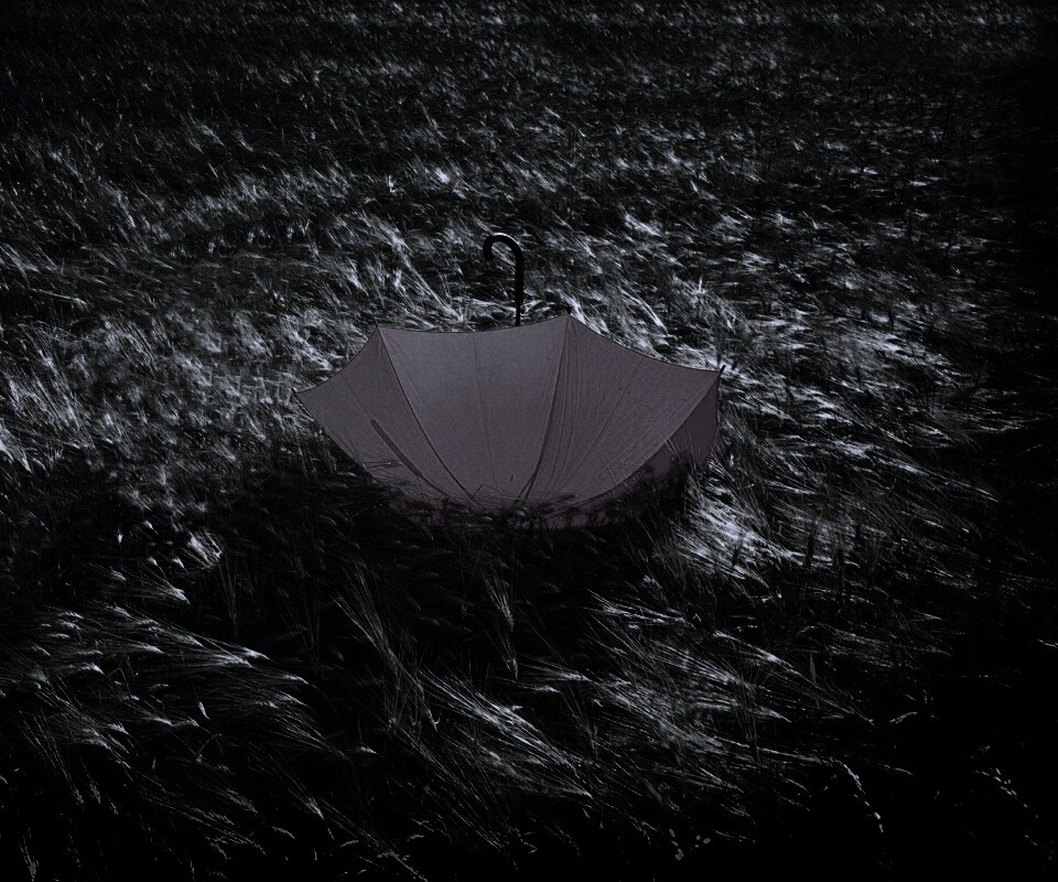 Зонт на траве обои