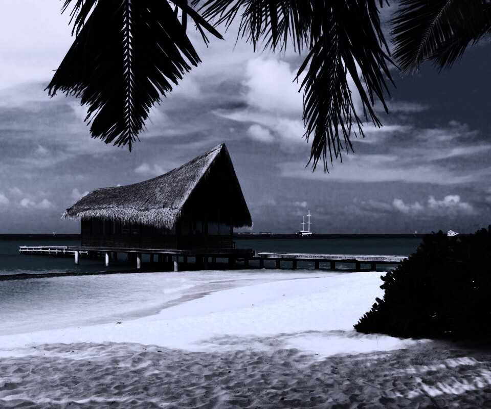 Бунгало обои