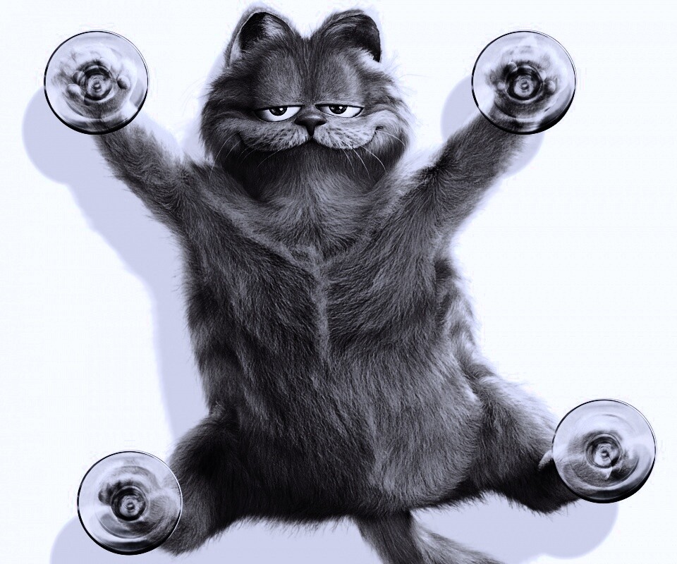 Рыжий проказник обои