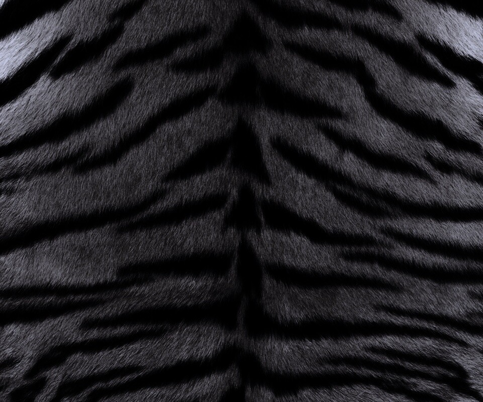 Тигриная шкура обои