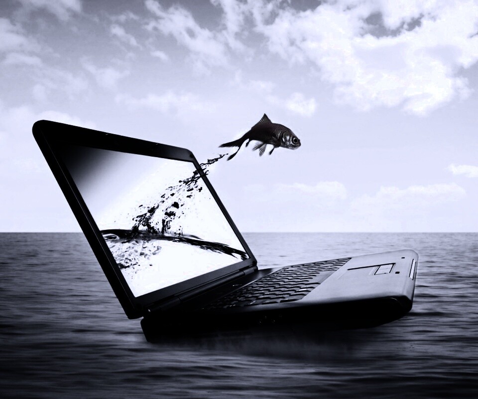 Золотая рыбка обои