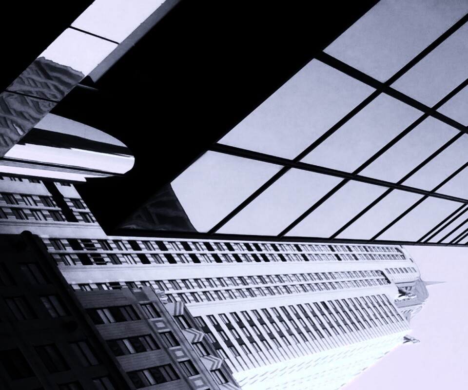 Взгляд вверх обои