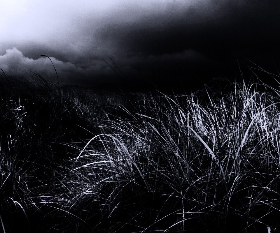 В ожидании шторма обои