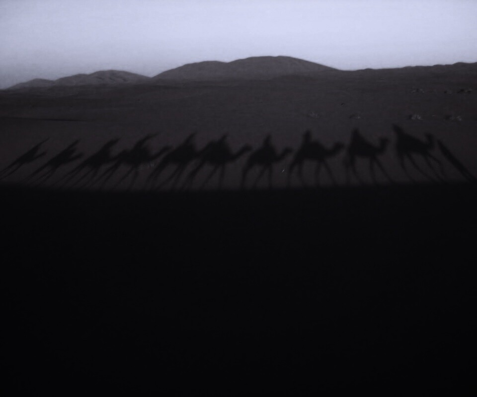 Караван обои