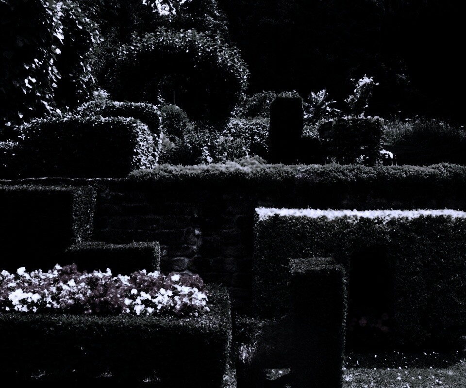 Декоративный сад обои