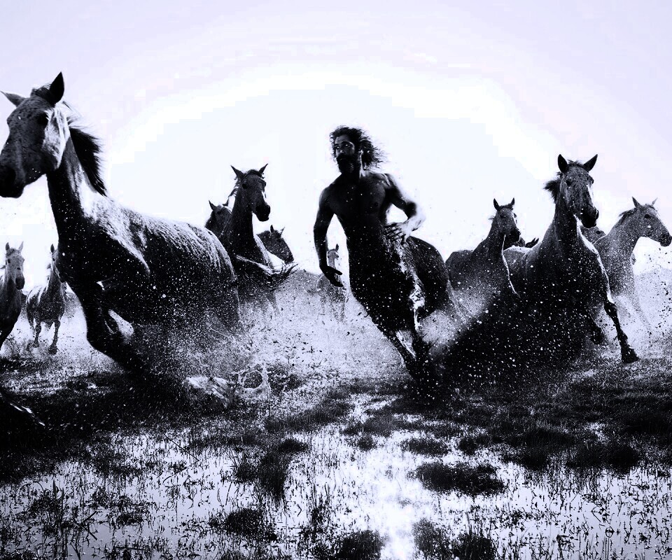 Кентавр обои