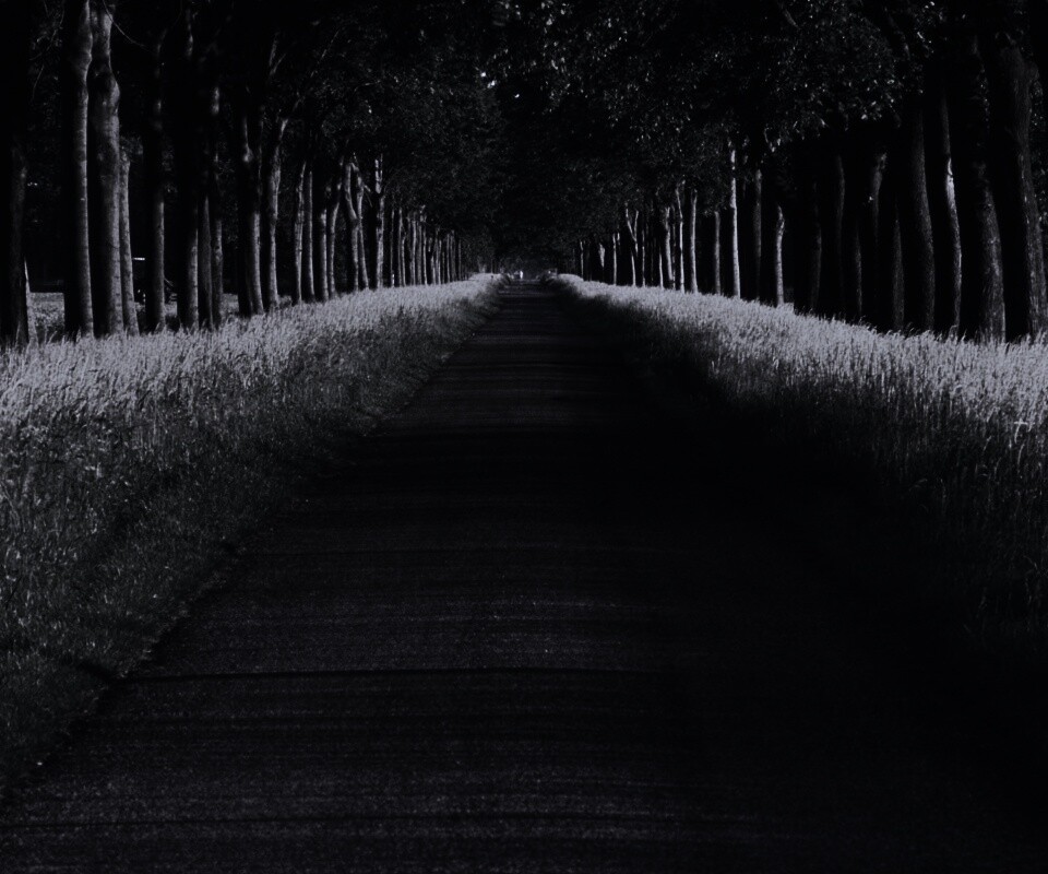 Живописная аллея обои