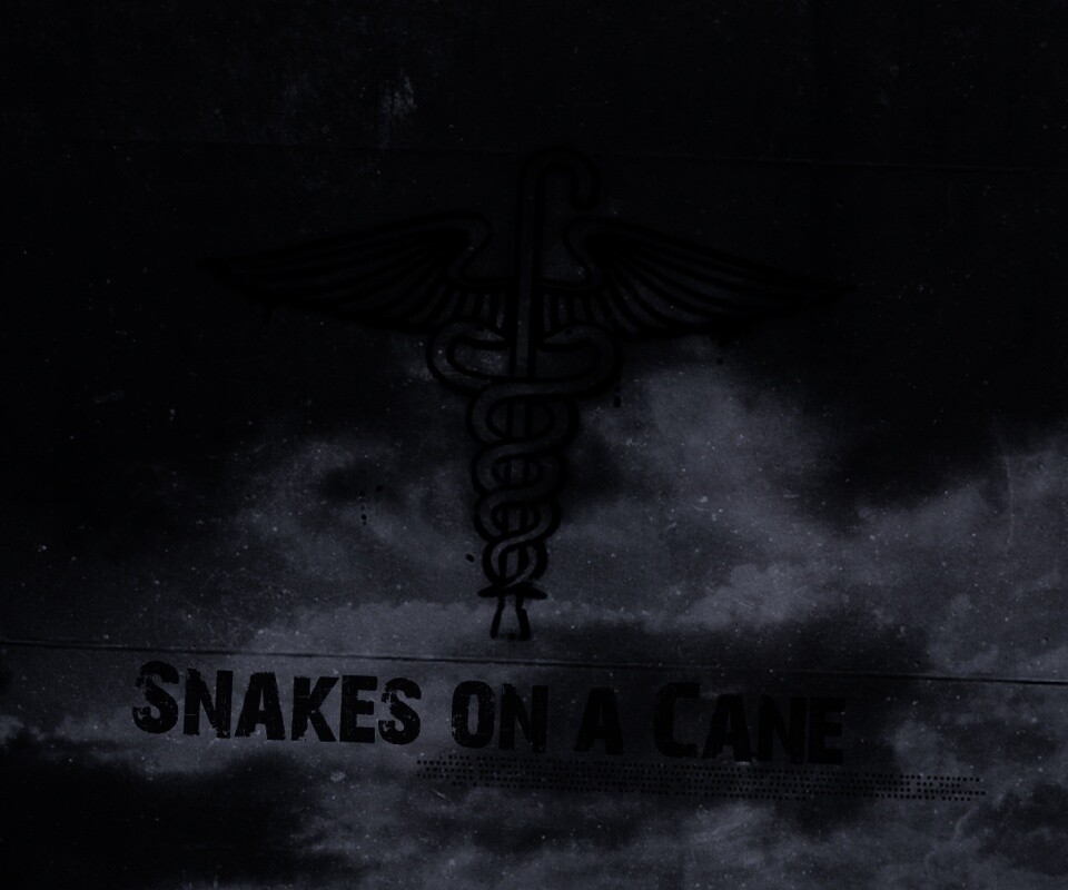 Змеи на трости обои