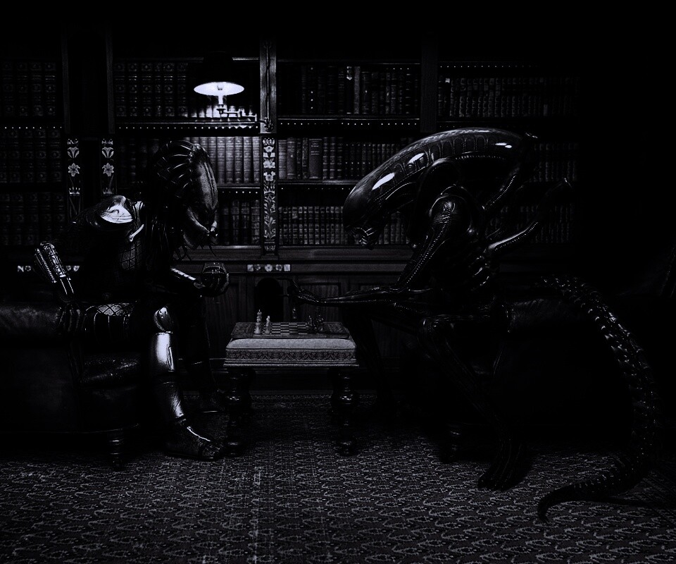 Чужой против хищника в шахматы обои