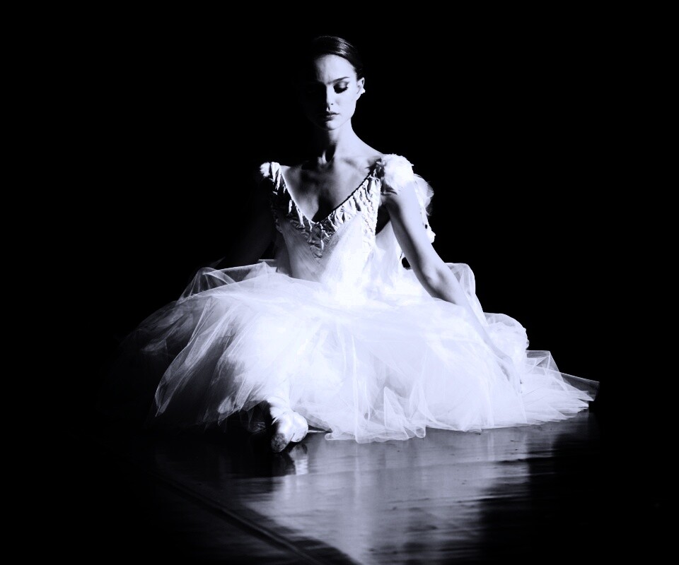 Черный лебедь обои