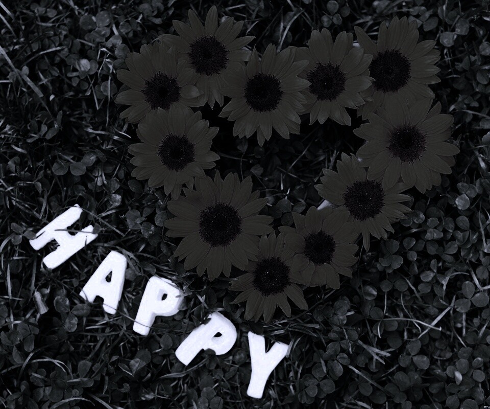 Радость обои