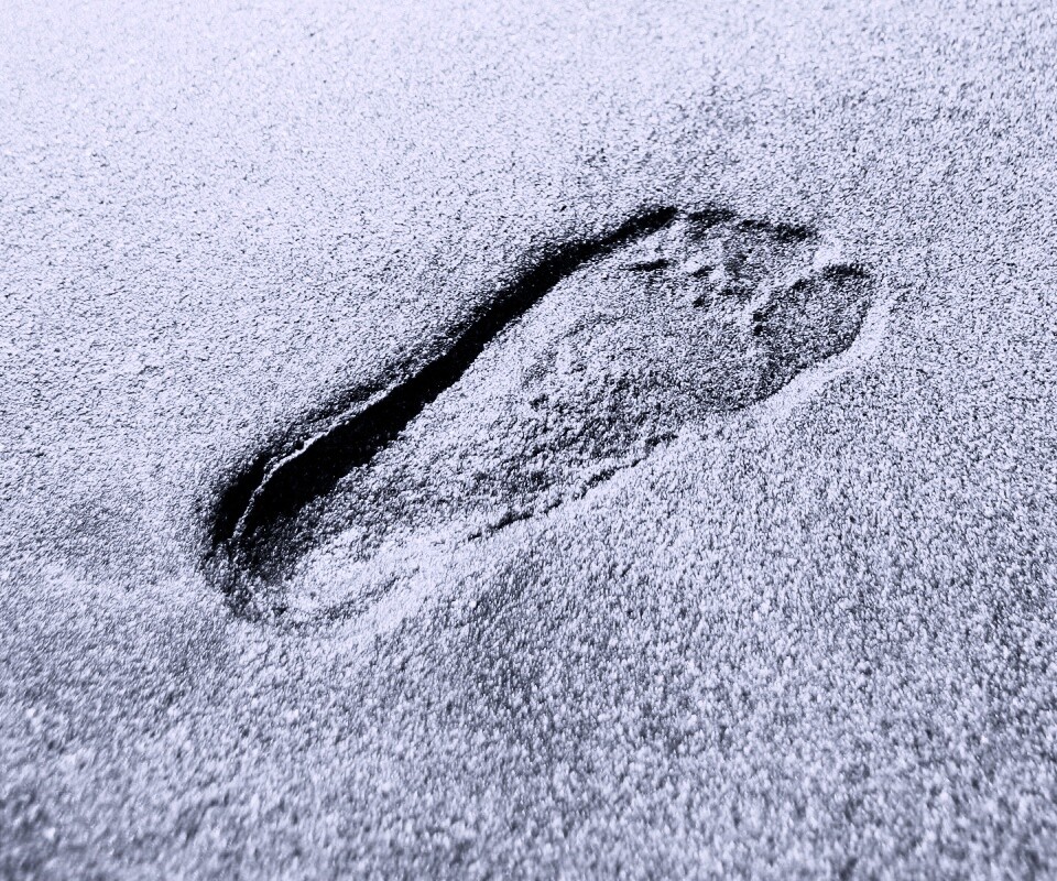 Отпечаток ноги обои