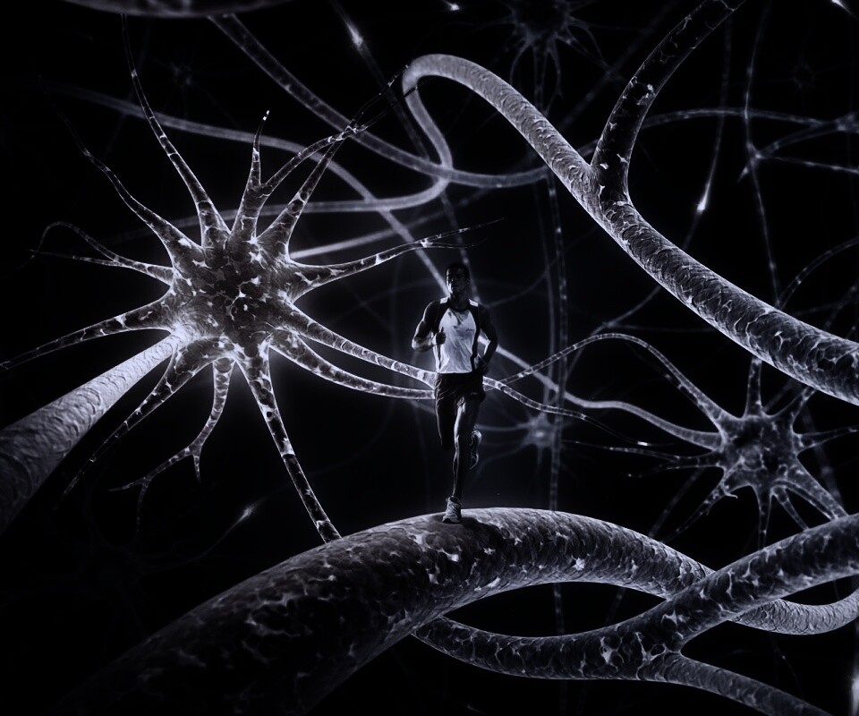 Бег мыслей обои