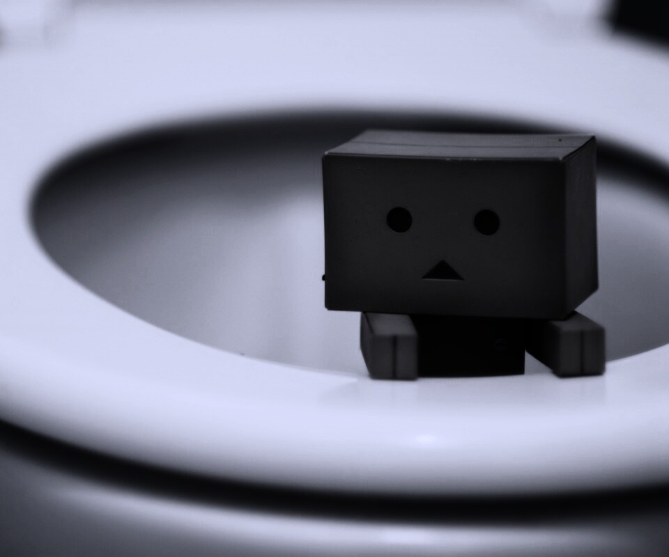 Danbo в унитазе обои