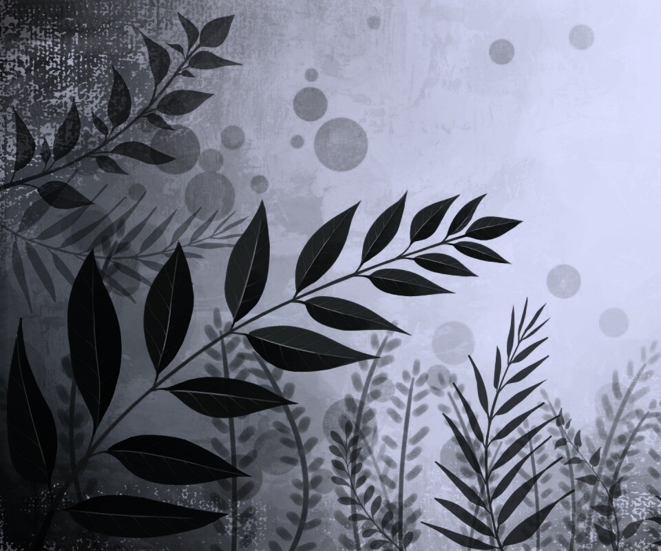 Веточка молодых листьев обои