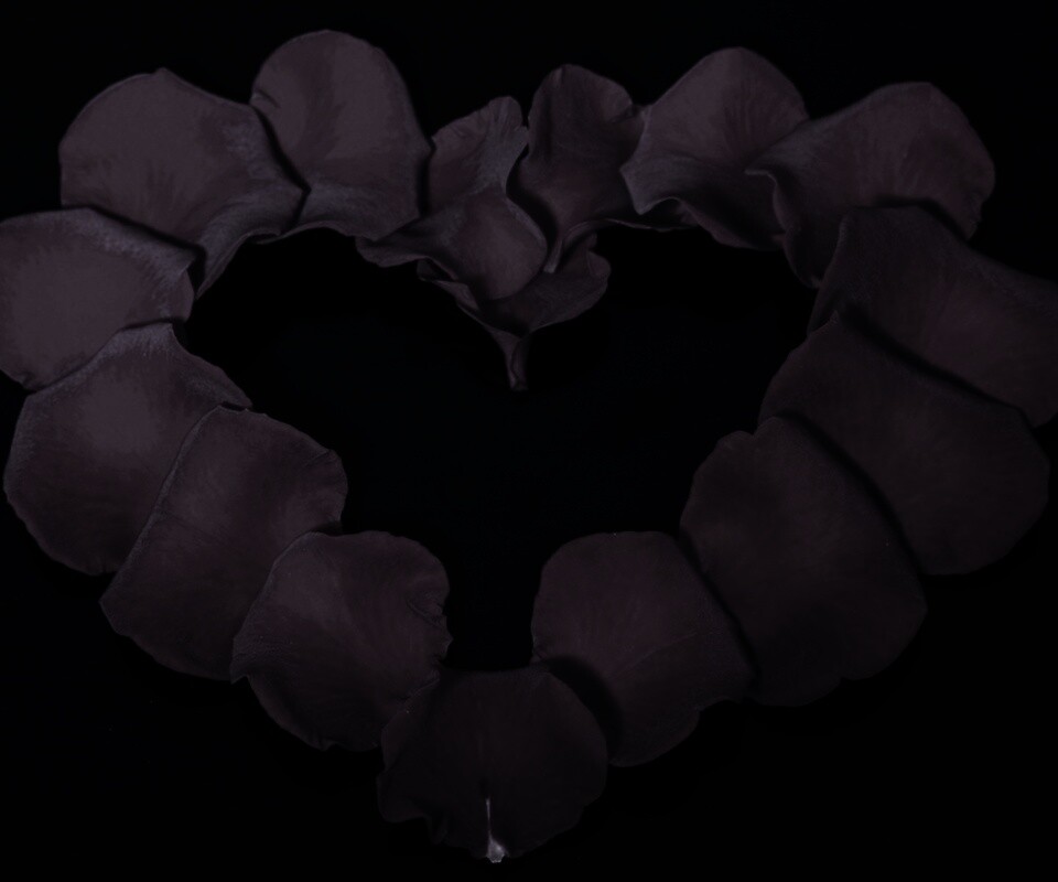 Красивое сердце обои