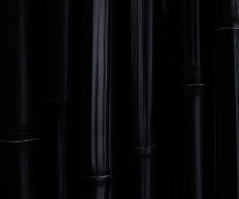 Бамбуковая роща обои