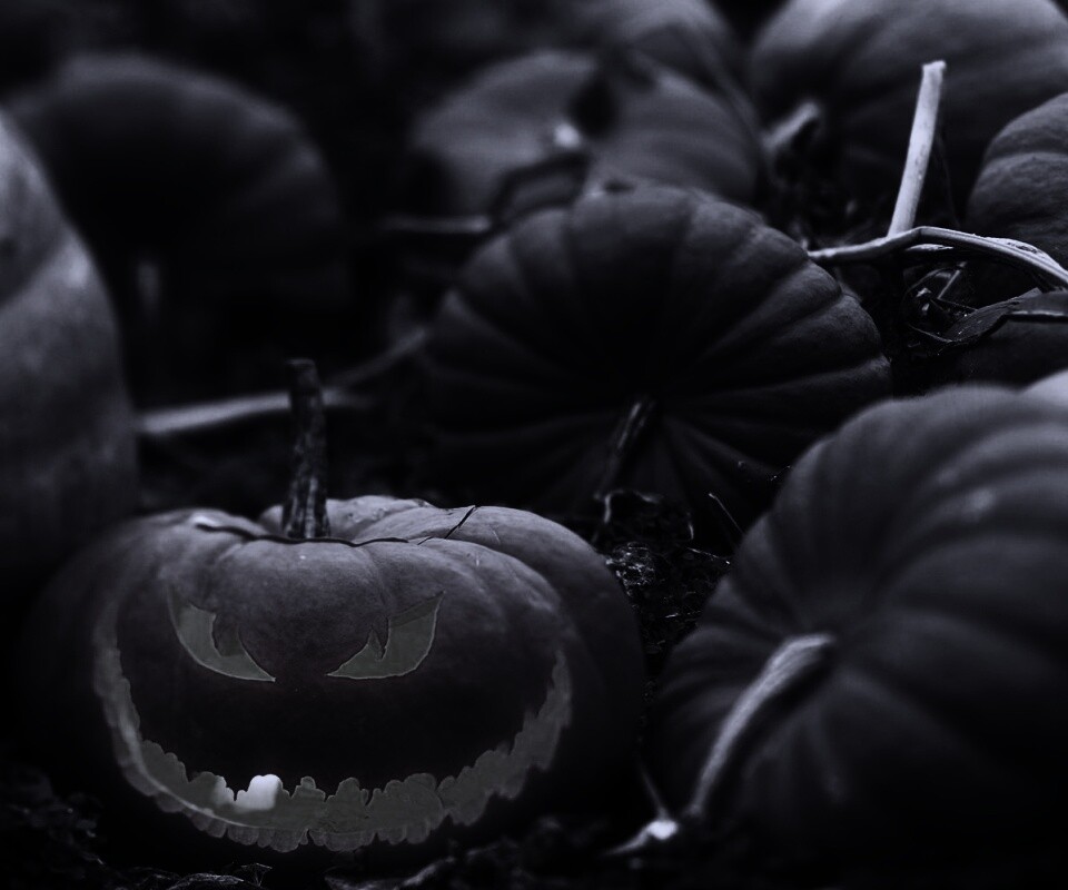 Злая тыква обои