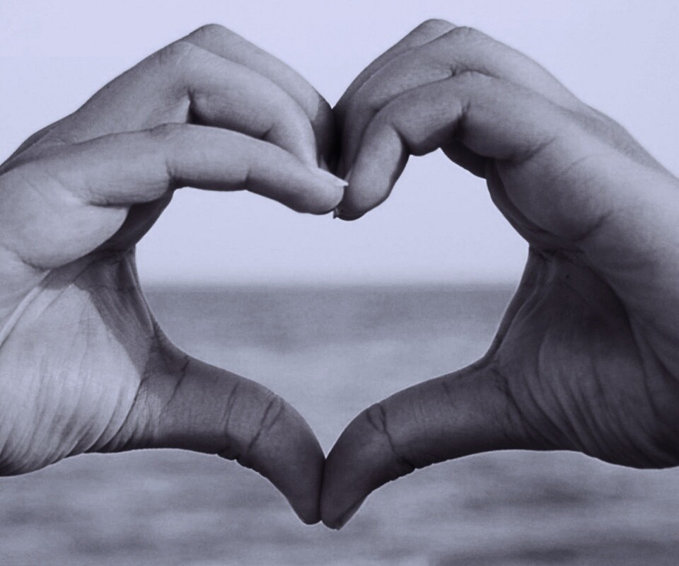 Руки сложенные сердечком обои