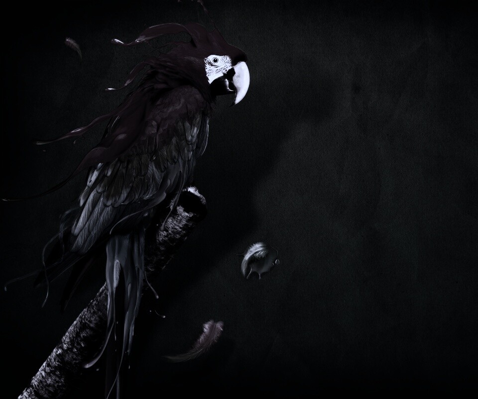 Попугай на ветке обои