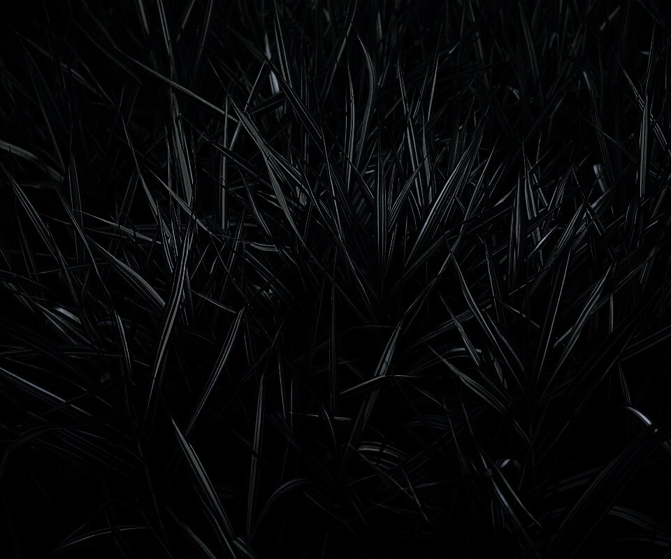 Дикая трава обои