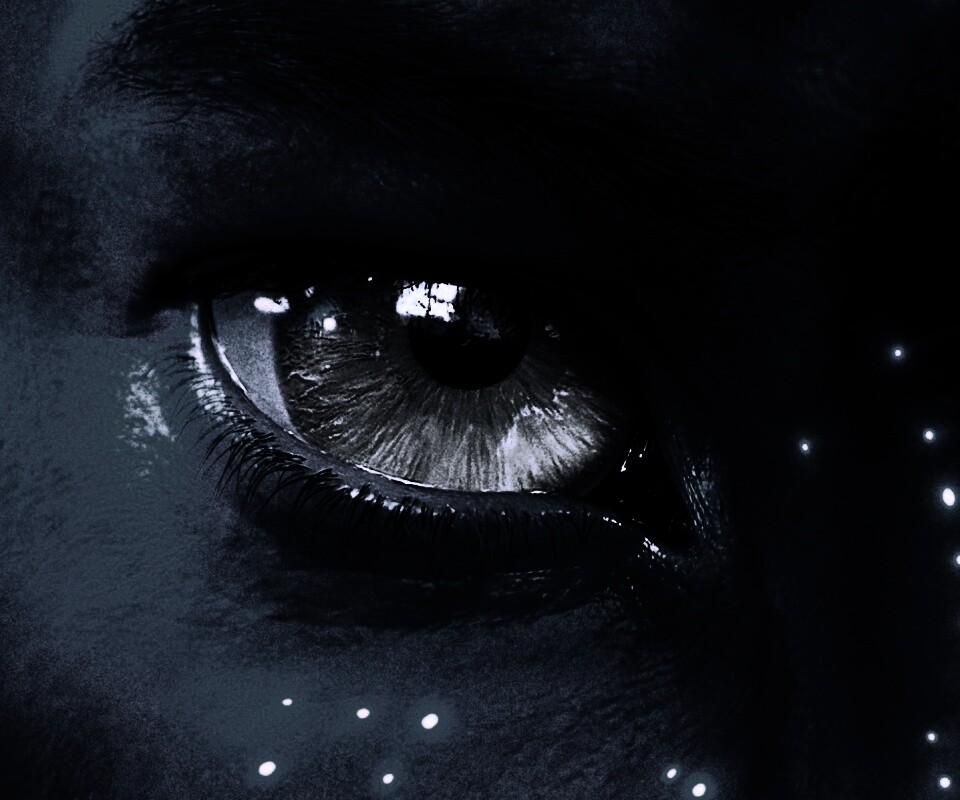 Смотрит прямо в душу обои