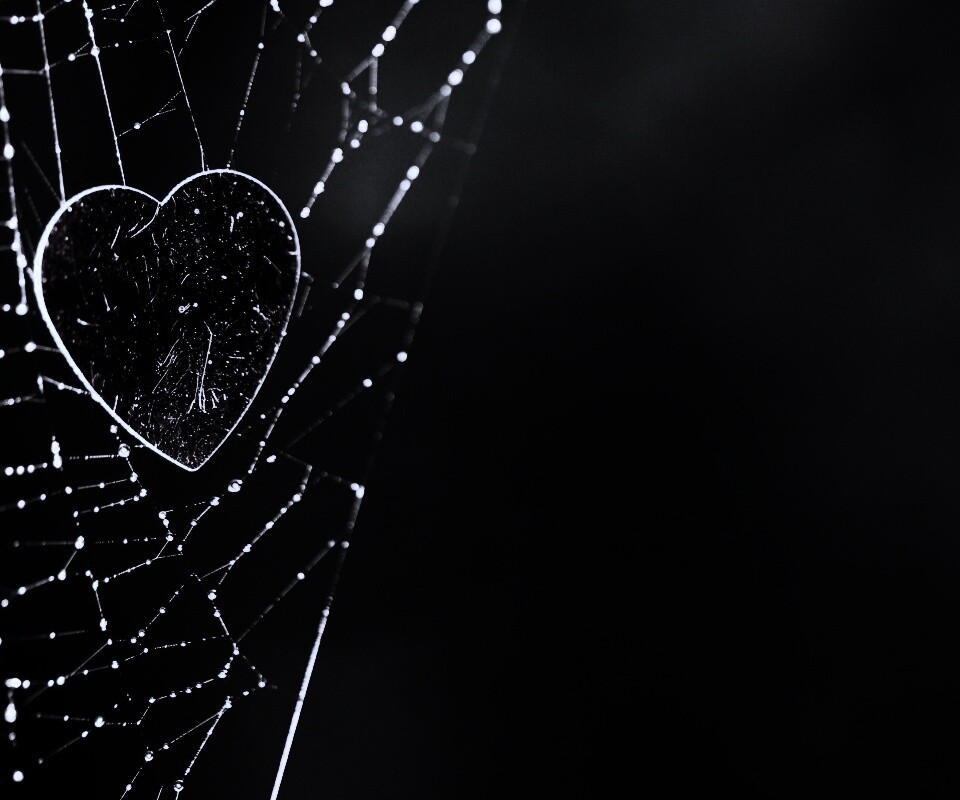 Запутавшаяся любовь.. обои