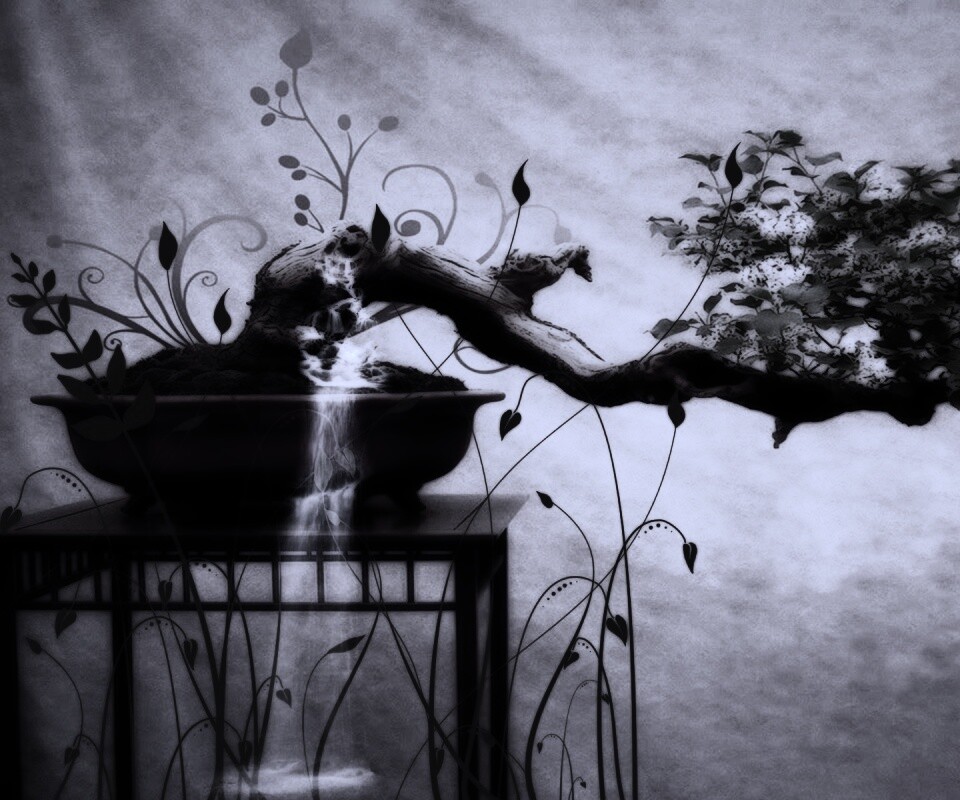 Карликовое дерево обои