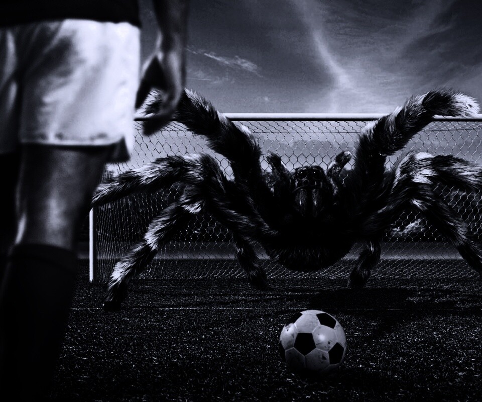 Вратарь обои