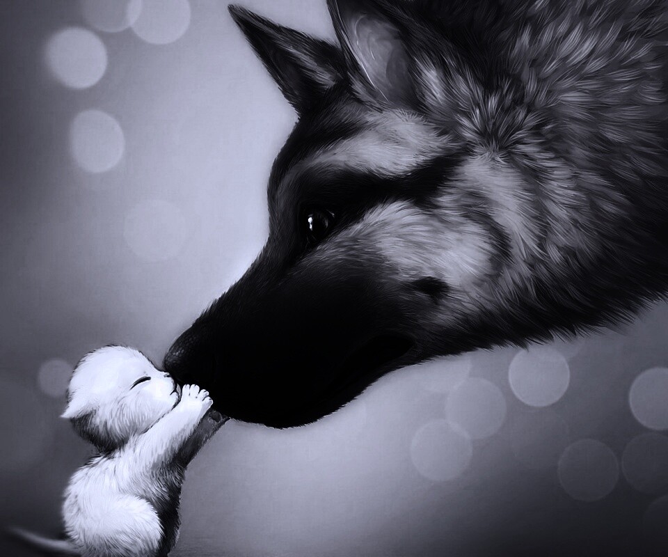 Овчарка и котенок обои