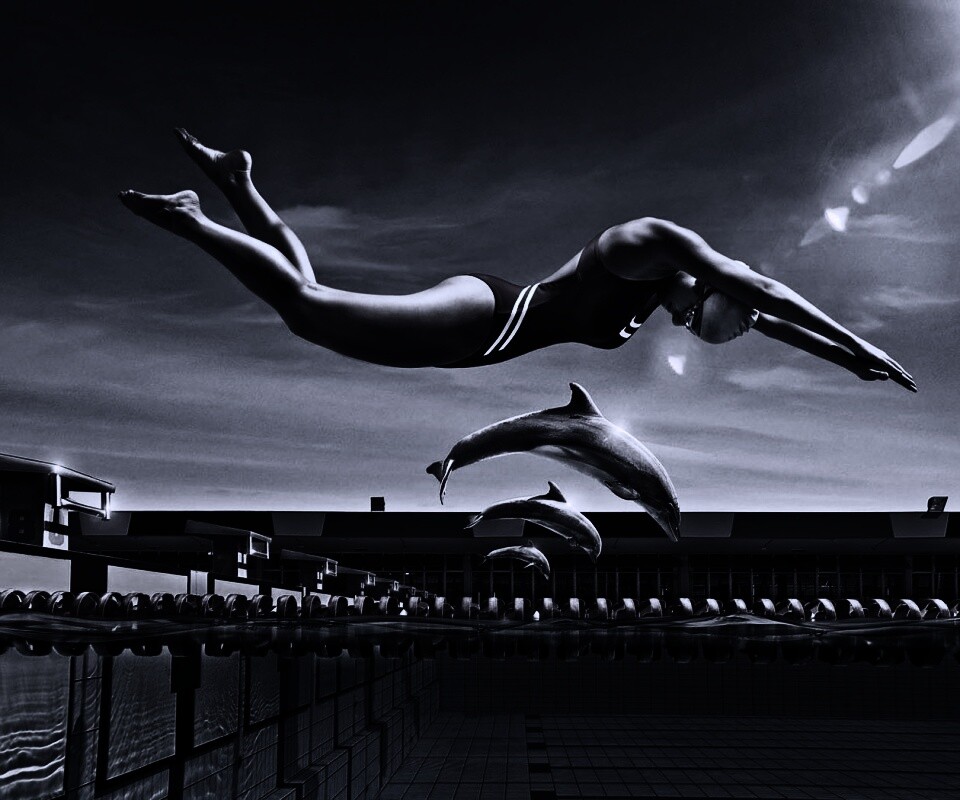 Соревнование обои